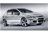 Paragolpes Delantero Peugeot 307 St