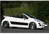 Faldones Laterales Peugeot 207 Encore 