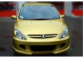 Paragolpes Delantero Peugeot 307 X-tech 