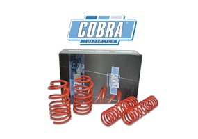 Juego De Muelles Cobra Audi Cabrio 89/8g Convertible 2.6/2.8 V6 1991-2000 40mm rebaje delantero-30mm rebaje trasero