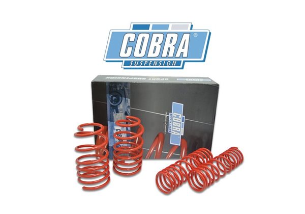 Juego De Muelles Cobra Bmw 1 Hatchback F40 5-puertas 116/118 07/2019- 30mm rebaje delantero-25mm rebaje trasero