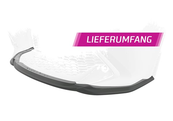 Añadido Toyota Corolla (E210) todos (Touring Sports / Steilheck) 2018-