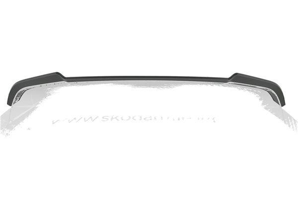 Aleron Skoda Enyaq iV todos 2020-