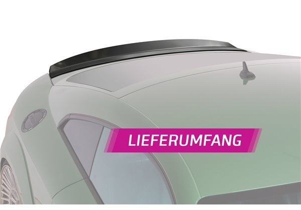 Aleron Audi TT / TTS (FV/8S) todos 2014-