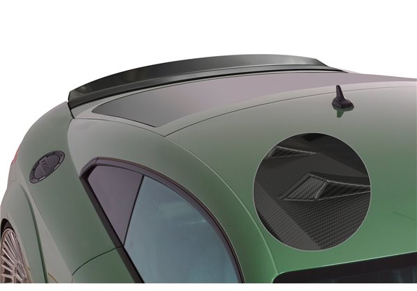 Aleron Audi TT / TTS (FV/8S) todos 2014-