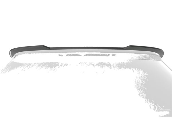 Aleron Toyota Corolla (E210) Touring Sports (todos) 2019-