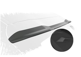 Aleron BMW X4 G02 todos (inkl. M-Paket, M40i, M40d und M Competition) 2018-