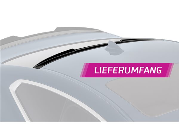 Aleron luna trasera BMW 4er G22 / G82 Coupe 2020-