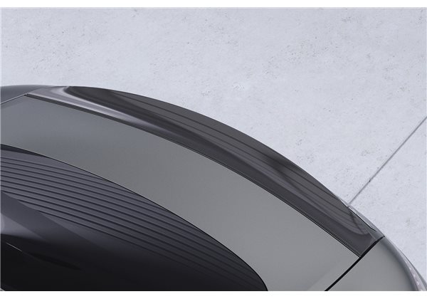 Añadido Aleron Mercedes-benz Amg Gt (190) Coupe 03/201712/2021 plastico abs