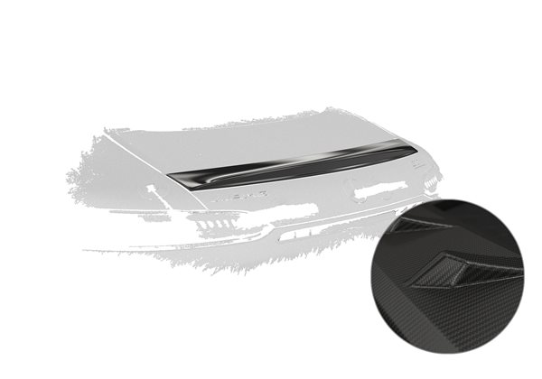 Añadido Aleron Mercedes-benz Amg Gt (190) Coupe 03/201712/2021 plastico abs