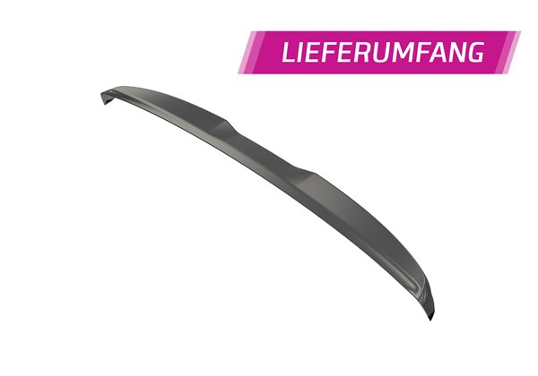 Añadido Aleron Vw T5 todos 2003-2015 plastico abs