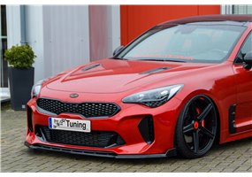 Labio delantero Kia Stinger CK