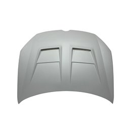 Labio delantero Suzuki Swift Sport RZ/AZ