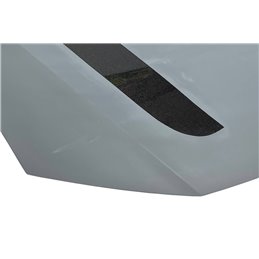 Labio delantero Renault Traffic 2