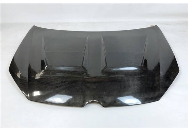 Capó Carbono Volkswagen Golf 6