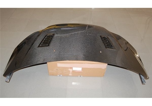Capó Carbono Ford Focus 2012-2015 RS