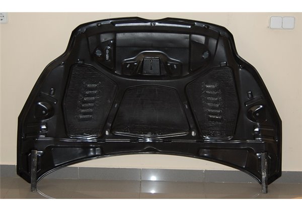 Capó Carbono Ford Focus 2012-2015 RS