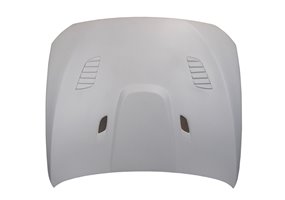 Capó De Fibra BMW F10 look GTR