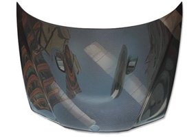 Capó Carbono BMW E46 Look M3 Look E92