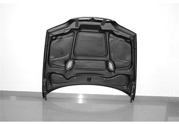 Capó Carbono BMW E46 Look M3 Look E92