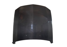 Capó Carbono Ford Mustang '05-'07