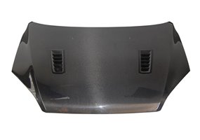 Capó Carbono Ford Focus 2005-2007 C/T RS