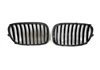 Parrilla BMW F01 / F02