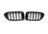 Parrilla BMW G30 / G31 Look M5 Negro Brillo
