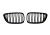 Parrilla BMW F22 / F23 / F87