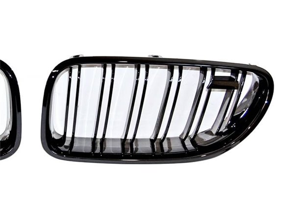 Parrilla BMW F12 / F13