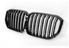 Parrilla BMW G05 X5