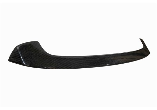 Alerón BMW F20 / F21 Carbono