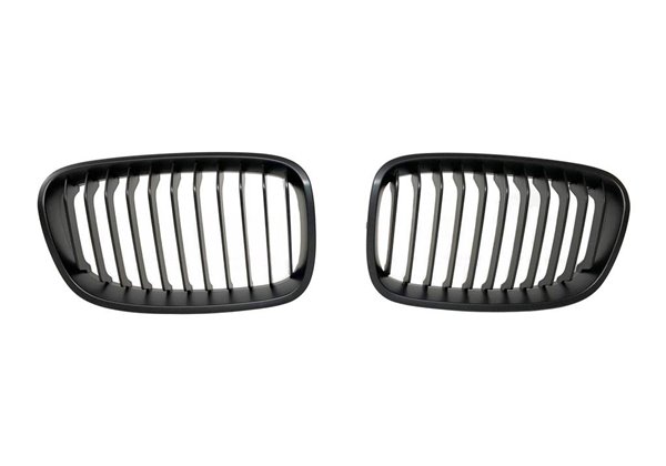 Parrilla BMW F20 / F21 2012-2014 II