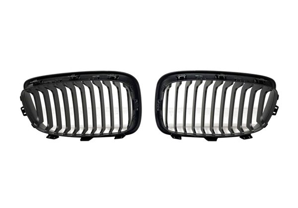 Parrilla BMW F20 / F21 2012-2014 II