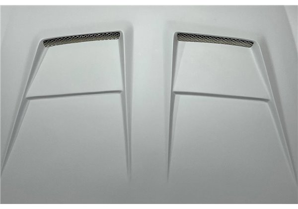 Capó Fibra Volkswagen Golf 6