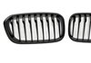 Parrilla BMW F20 / F21 LCI 2015-2019