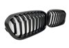 Parrilla BMW F20 / F21 LCI 2015-2019