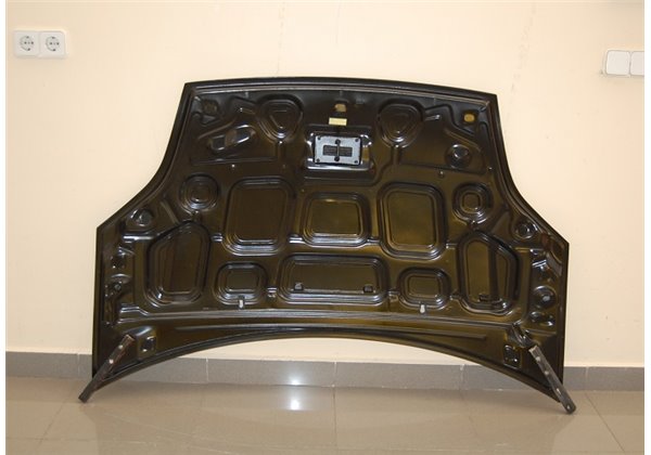 Capó Carbono Ford Fiesta '02 S/T