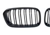 Parrilla BMW F20 / F21 LCI 2015-2019 II