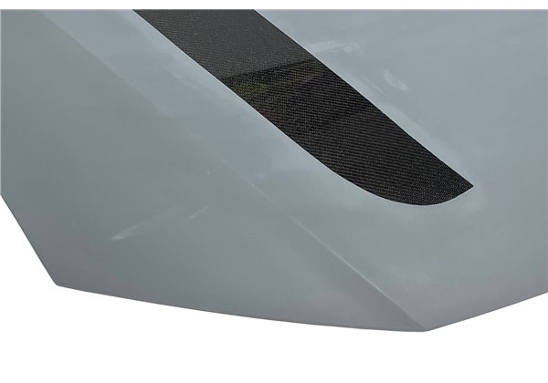 Capó De Fibra y Carbono Audi A6 C8 Look RS6 GT