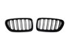 Parrilla BMW F10 / F11 2010-2012 Black Mate