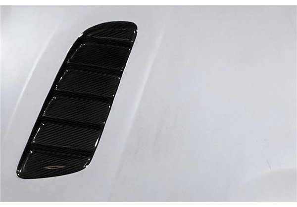 Capó Fibra BMW F20/F21 2012-2019  /  F22/F23 2014+ / F87 Look M3 Con Toma Look Carbono