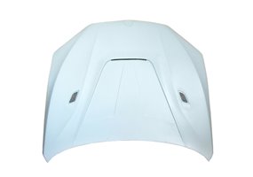 Capó De Fibra BMW X5 F15 F85/X5M Hood BMW F16 X6 F86