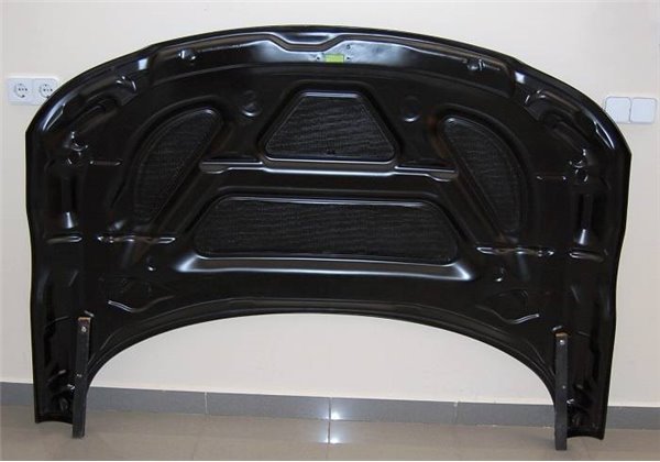 Capó Carbono Audi TT 98-05 8N