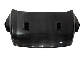 Capó Carbono Ford Focus 2008-2011 RS C/T