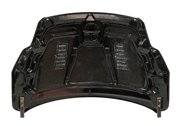 Capó Carbono Ford Focus 2008-2011 RS C/T