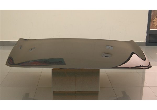 Capó Carbono Renault Megane 2003 S/T