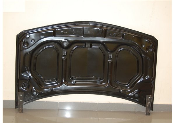 Capó Carbono Renault Megane 2003 S/T