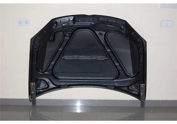 Capó Carbono Volkswagen Golf 5