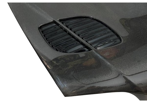 Capó Carbono BMW E46 Look M3 GTR